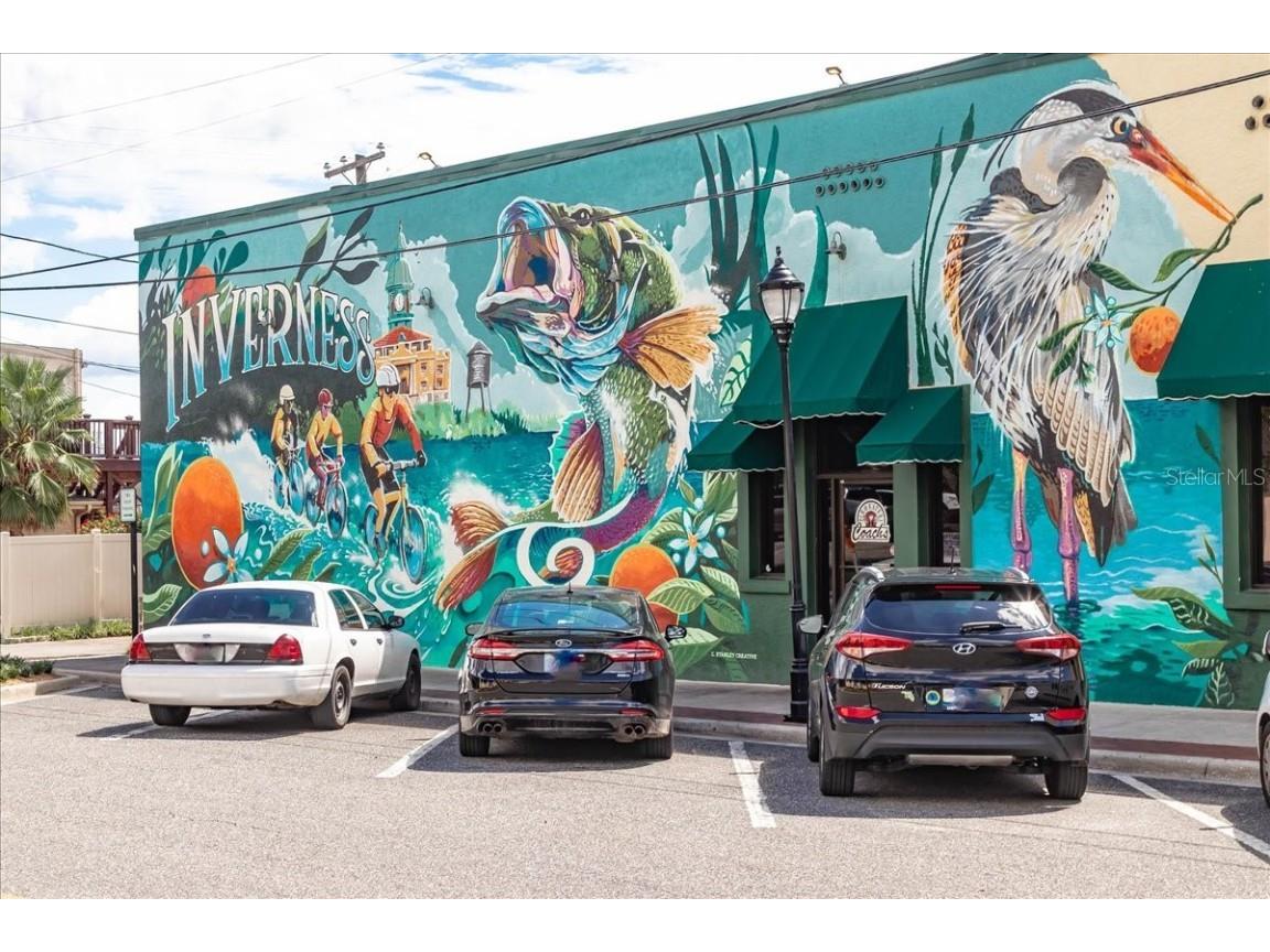 223 S Nesbitt Terrace Inverness FL 34450 - TSALA APOPKA CHAIN OF LAKES OM714065 image82