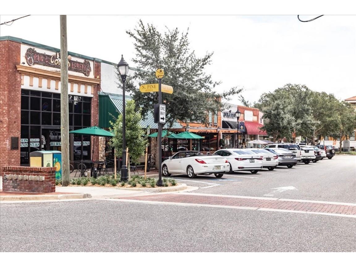 223 S Nesbitt Terrace Inverness FL 34450 - TSALA APOPKA CHAIN OF LAKES OM714065 image83