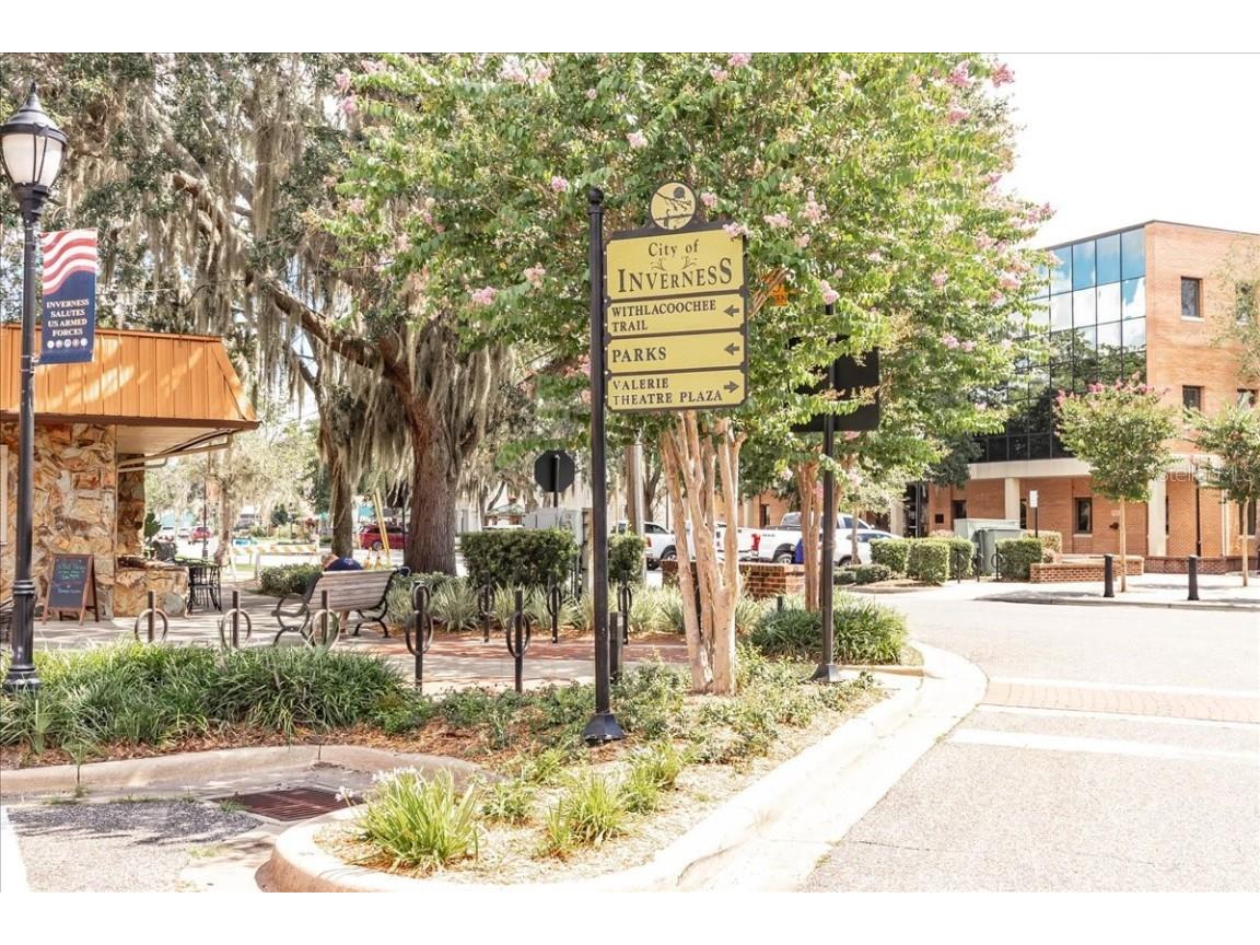 223 S Nesbitt Terrace Inverness FL 34450 - TSALA APOPKA CHAIN OF LAKES OM714065 image84