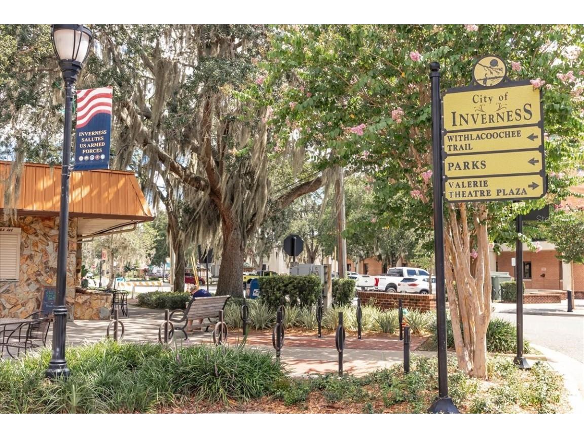 223 S Nesbitt Terrace Inverness FL 34450 - TSALA APOPKA CHAIN OF LAKES OM714065 image85