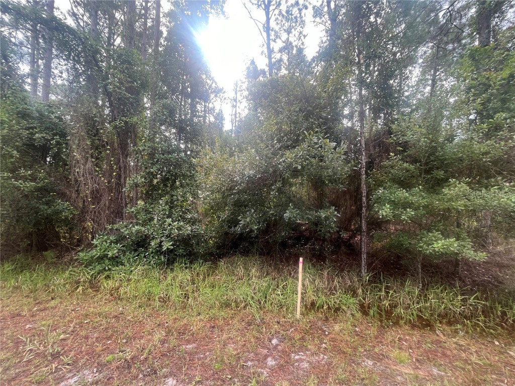 223 SE 2nd Street Georgetown FL 32139 OK225494 image7