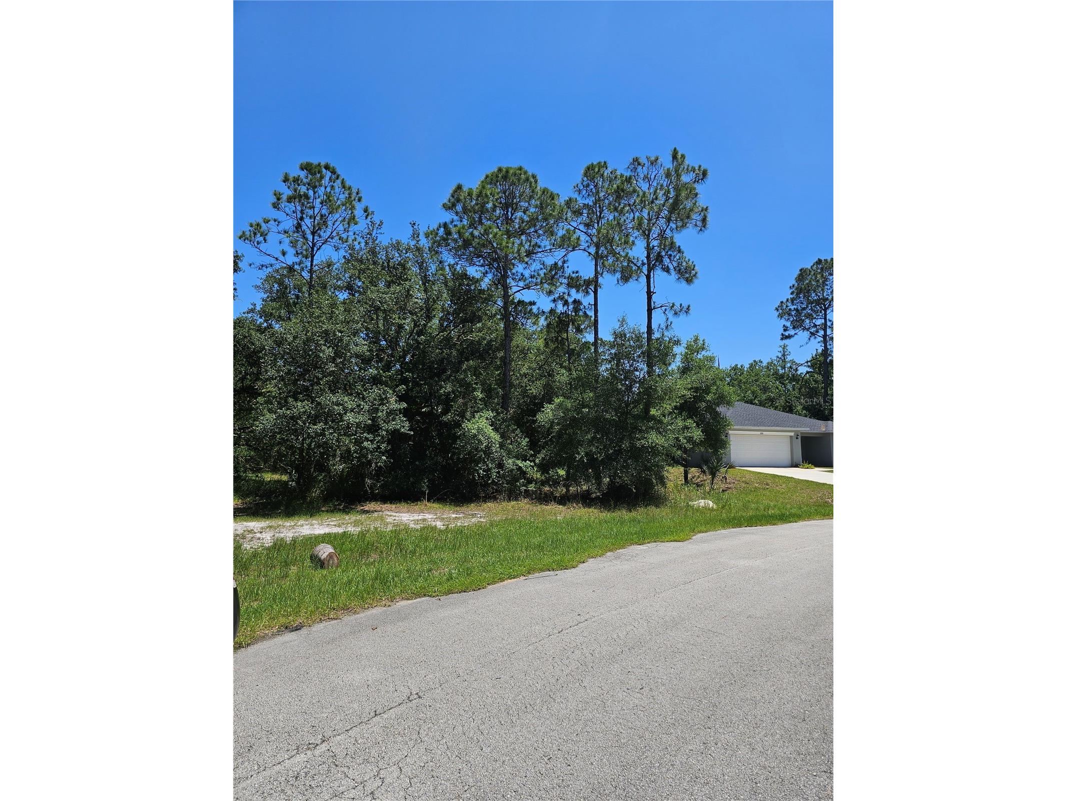 223 Starling Court Poinciana FL 34759 O6416582 image1