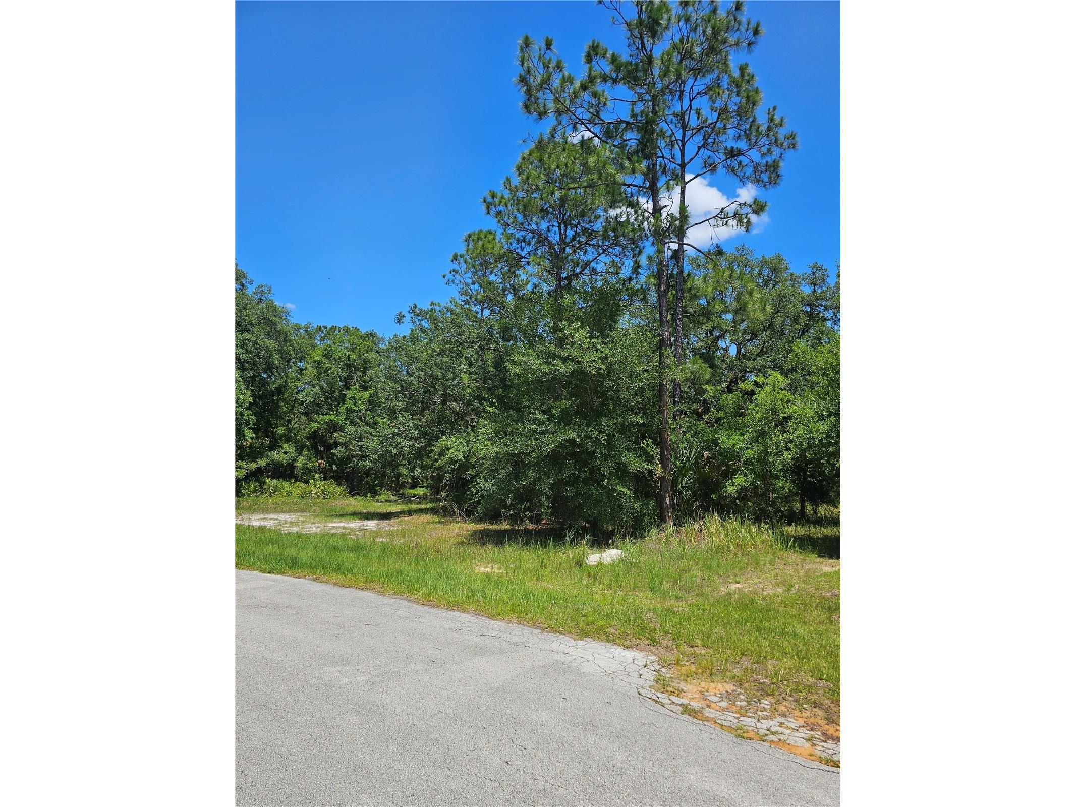 223 Starling Court Poinciana FL 34759 O6416582 image2