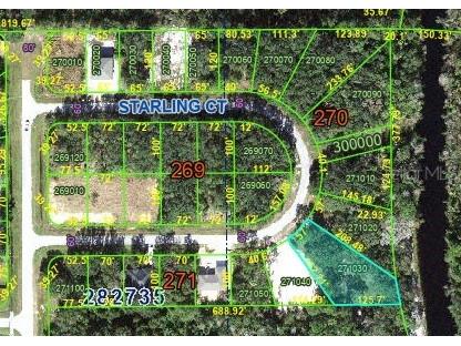 223 Starling Court Poinciana FL 34759 O6416582 image3