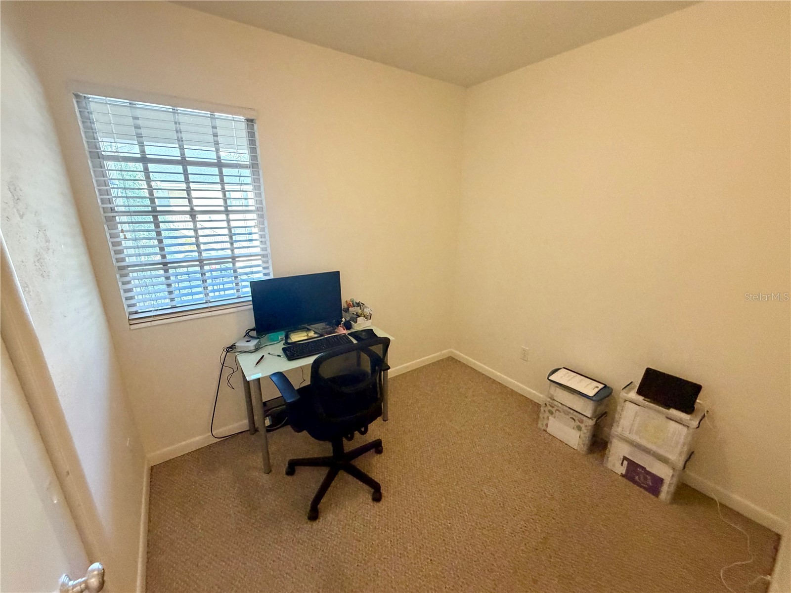 223 Windsor Street #6 Lakeland FL 33803 L4962878 image24