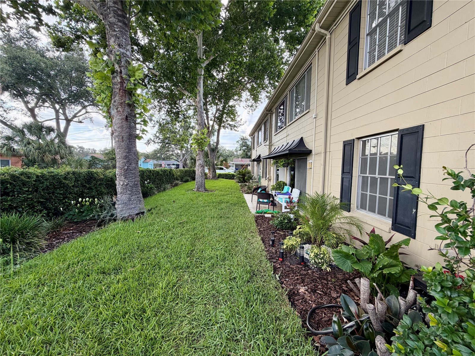 223 Windsor Street #6 Lakeland FL 33803 L4962878 image5
