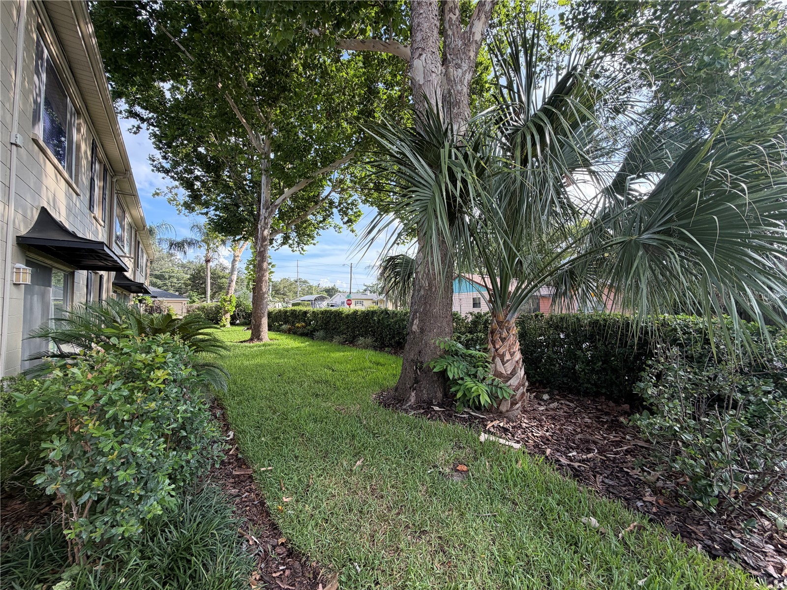 223 Windsor Street #6 Lakeland FL 33803 L4962878 image6