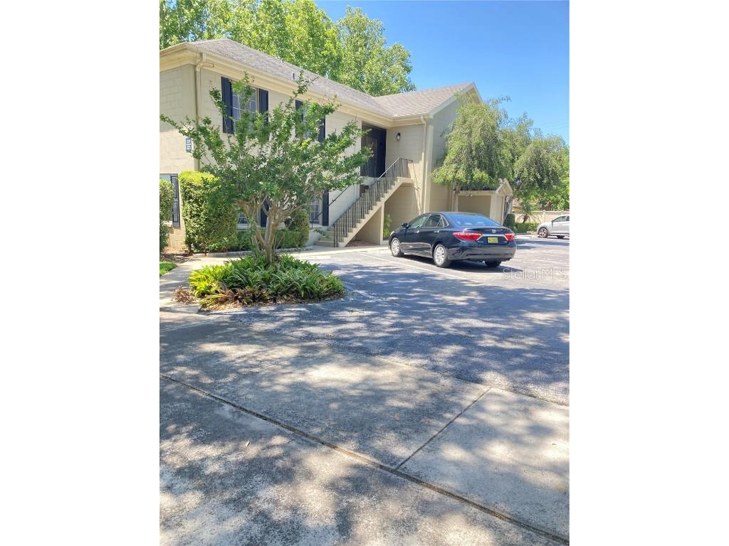 223 Windsor Street #6 Lakeland FL 33803 TB8397664 image1