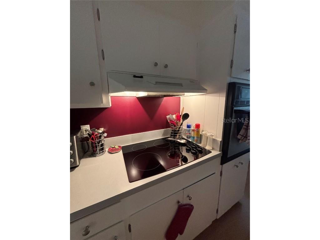 223 Windsor Street #6 Lakeland FL 33803 TB8397664 image11