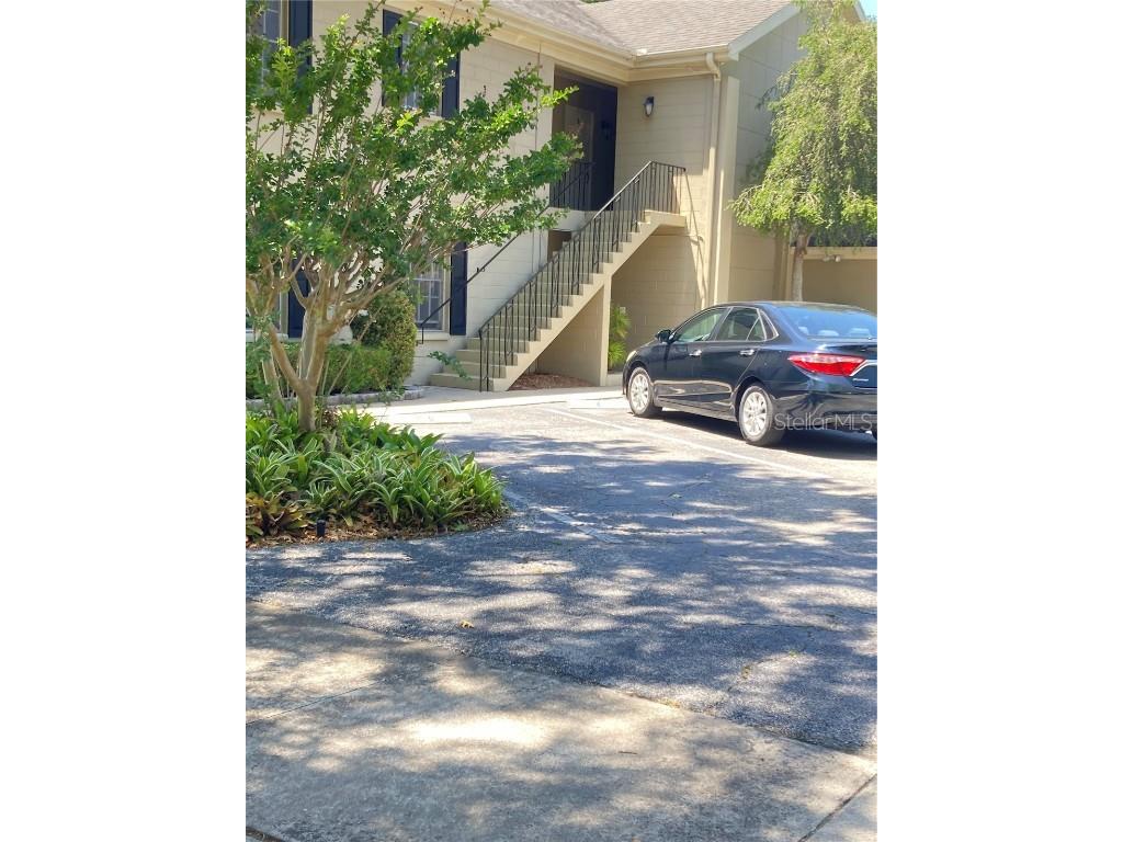 223 Windsor Street #6 Lakeland FL 33803 TB8397664 image3
