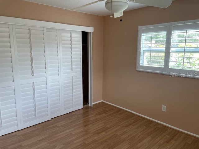 2230 Birchbark Trail Clearwater FL 33763 TB8494793 image29
