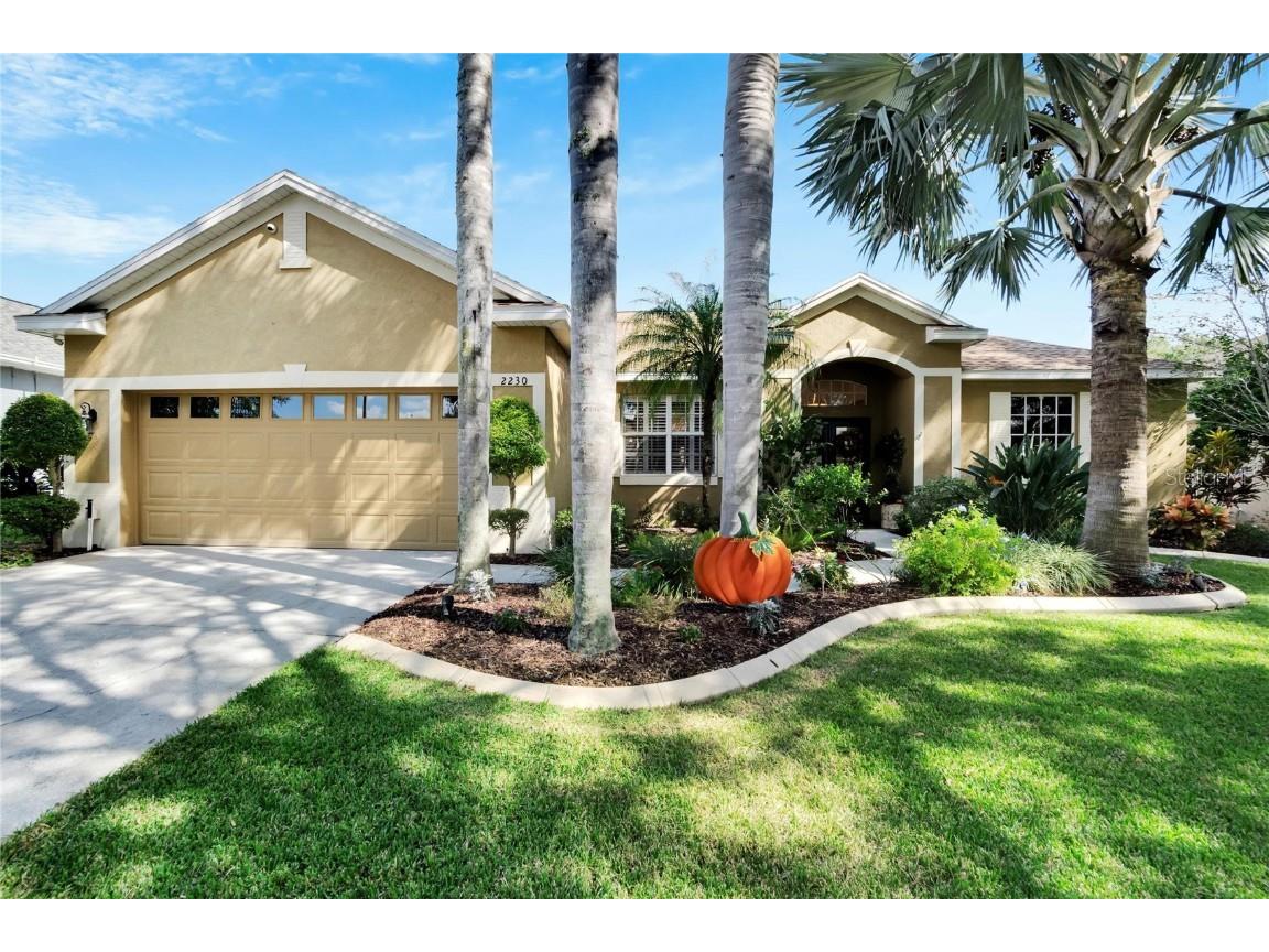 2230 Longmore Circle Valrico FL 33596 T3482696 image1