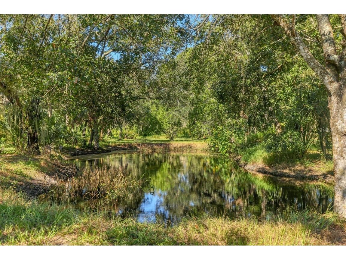 2230 Myakka Road Sarasota FL 34240 A4665978 image39