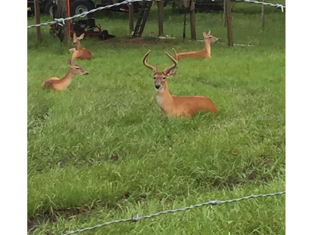 2230 Myakka Road Sarasota FL 34240 A4665978 image46