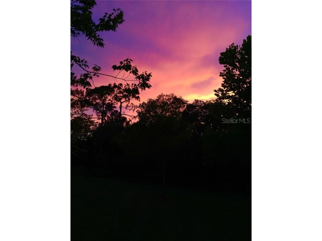 2230 Myakka Road Sarasota FL 34240 A4665978 image47