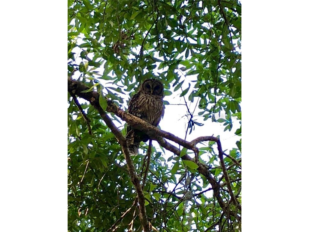 2230 Myakka Road Sarasota FL 34240 A4665978 image48