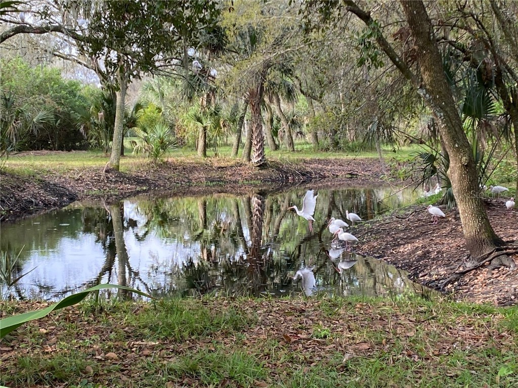 2230 Myakka Road Sarasota FL 34240 A4665978 image50