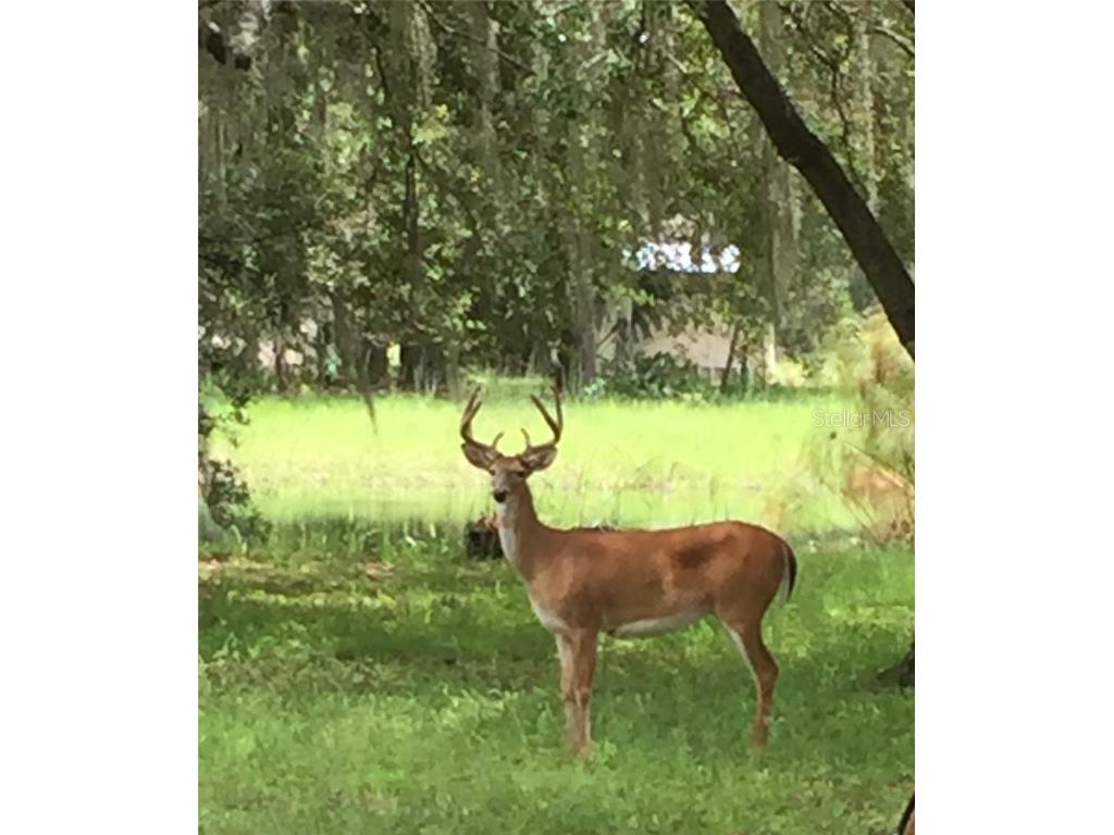 2230 Myakka Road Sarasota FL 34240 A4665978 image54