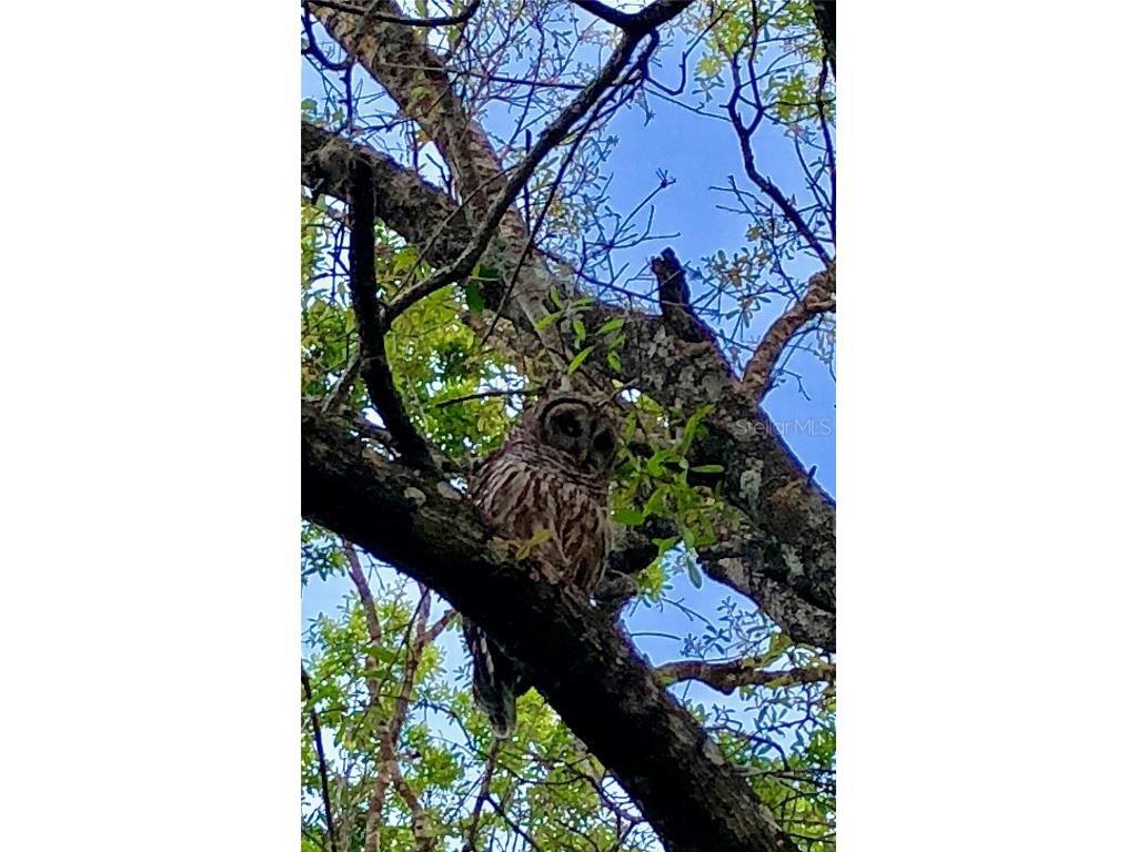 2230 Myakka Road Sarasota FL 34240 A4665978 image55