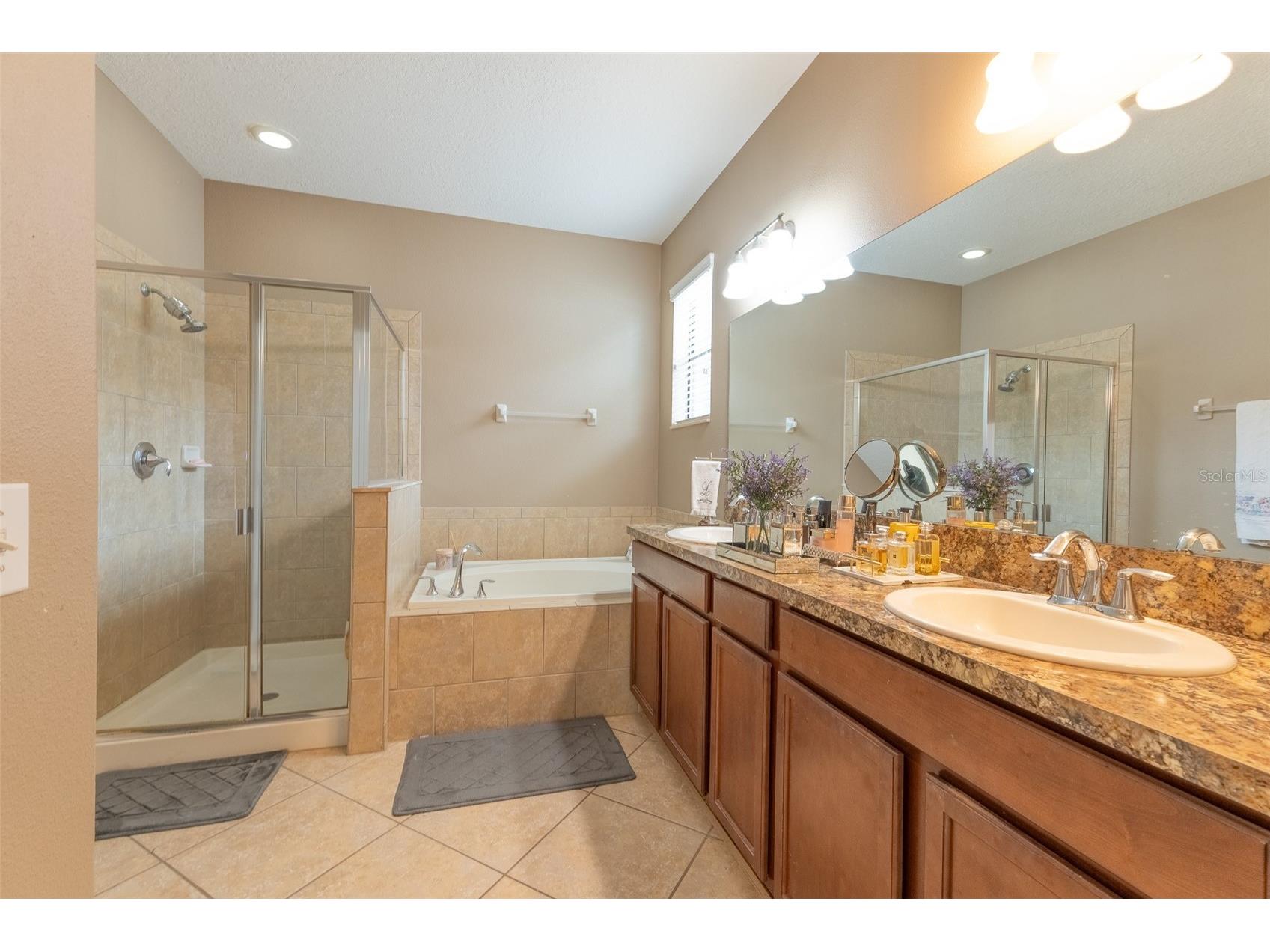 2230 Romanum Drive Winter Garden FL 34787 O6389947 image13