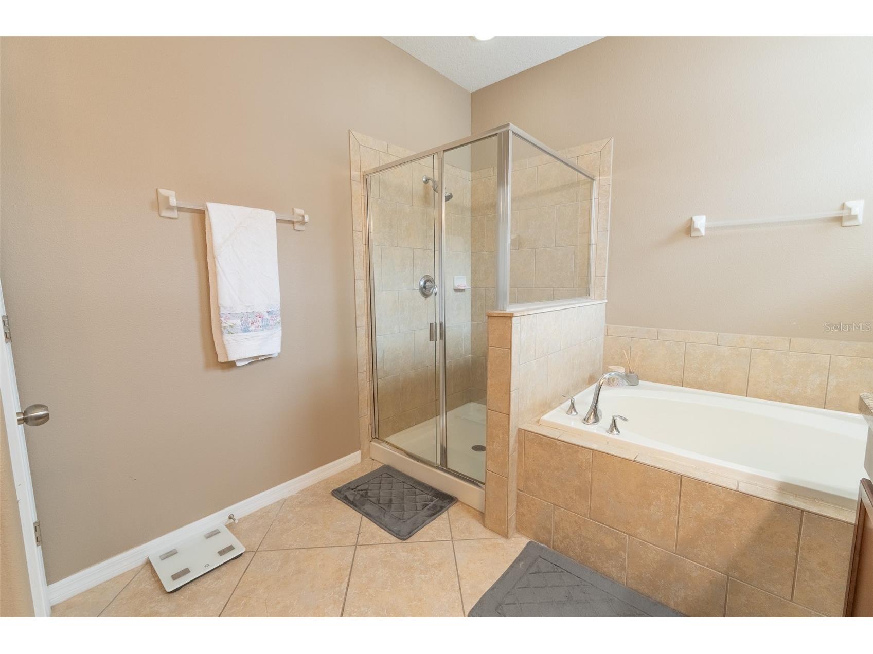 2230 Romanum Drive Winter Garden FL 34787 O6389947 image14