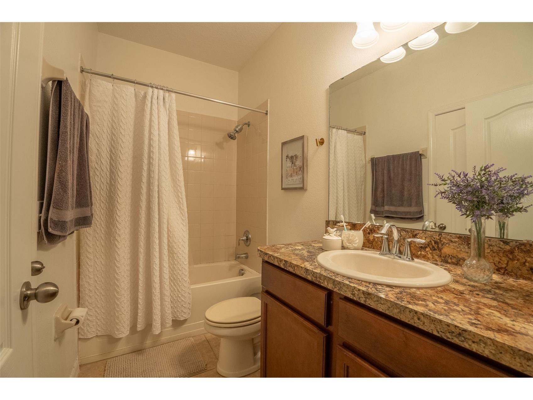 2230 Romanum Drive Winter Garden FL 34787 O6389947 image17