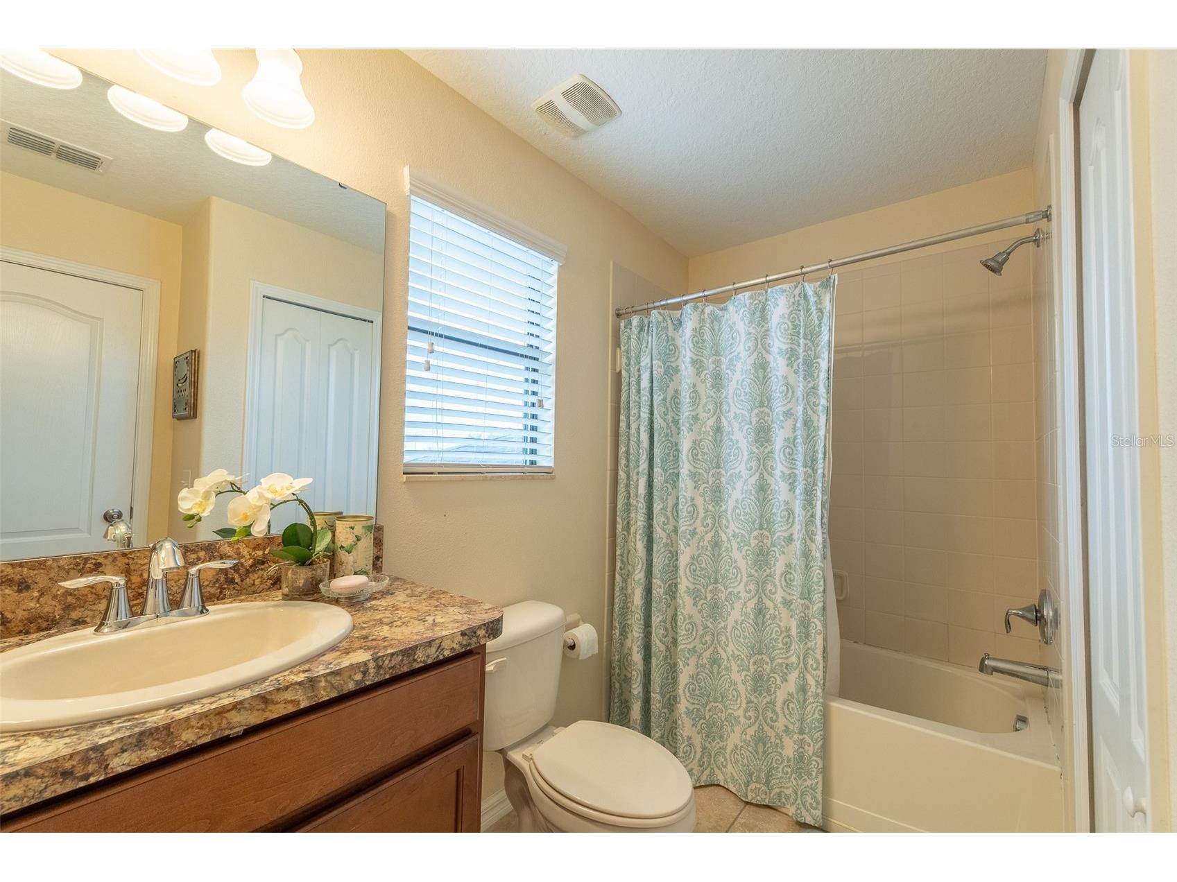 2230 Romanum Drive Winter Garden FL 34787 O6389947 image19