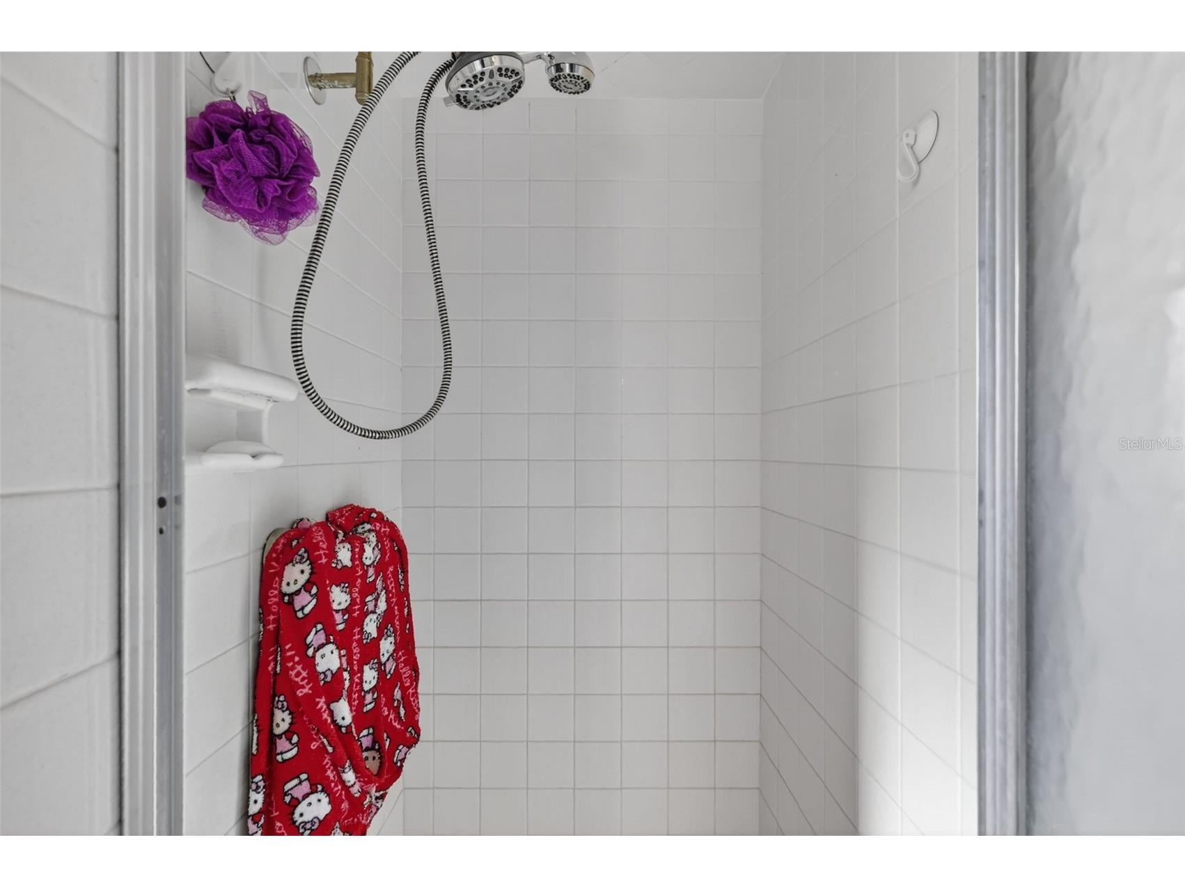 2230 SW 87th Place Ocala FL 34476 OM717738 image29