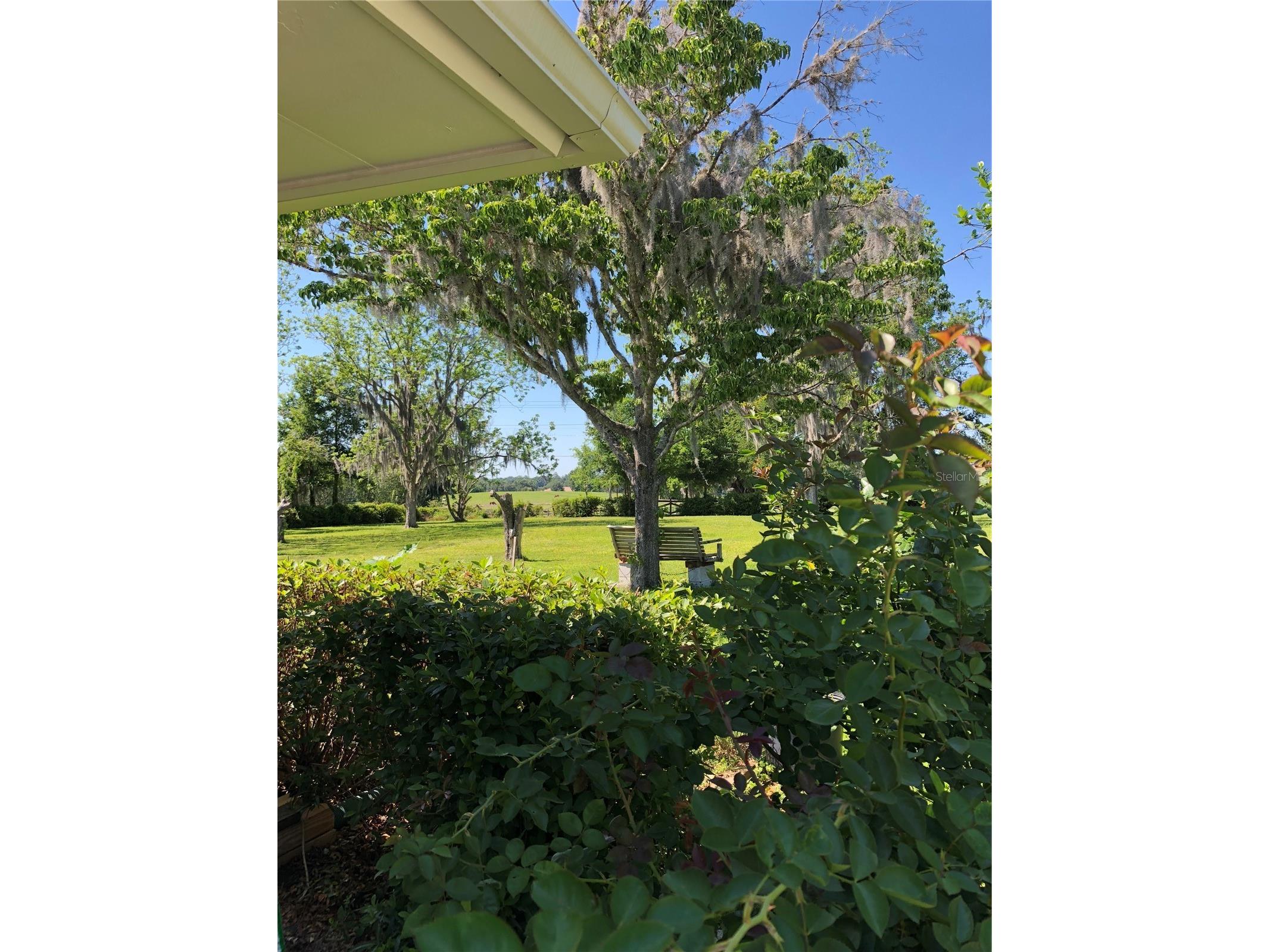 2230 SW 87th Place Ocala FL 34476 OM717738 image45