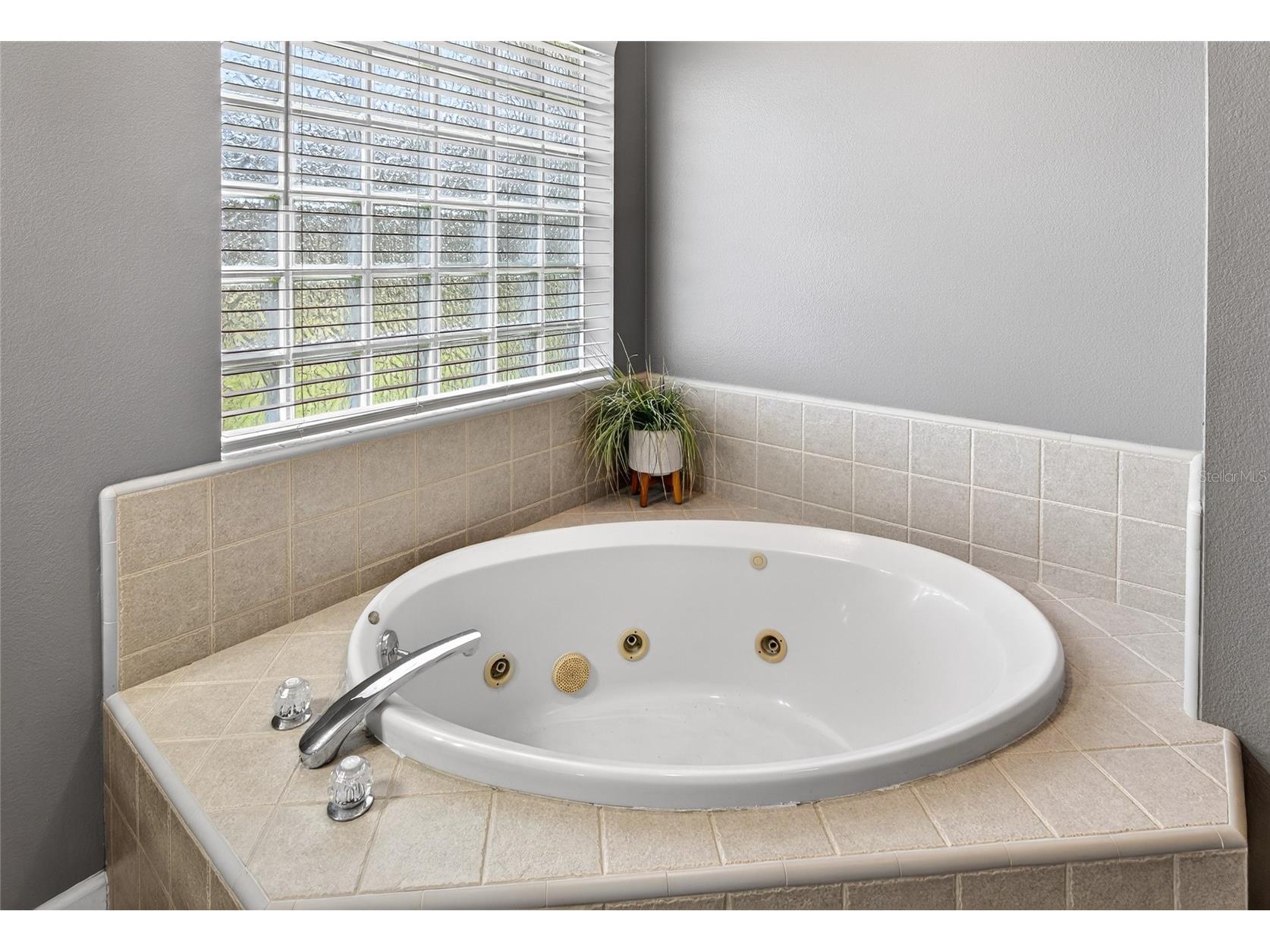 22301 Coronado Somerset Drive Sorrento FL 32776 G5109304 image21