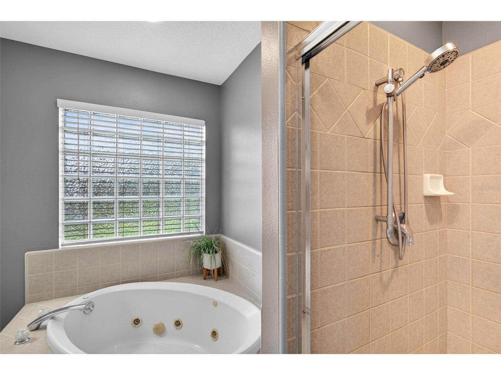 22301 Coronado Somerset Drive Sorrento FL 32776 G5109304 image22