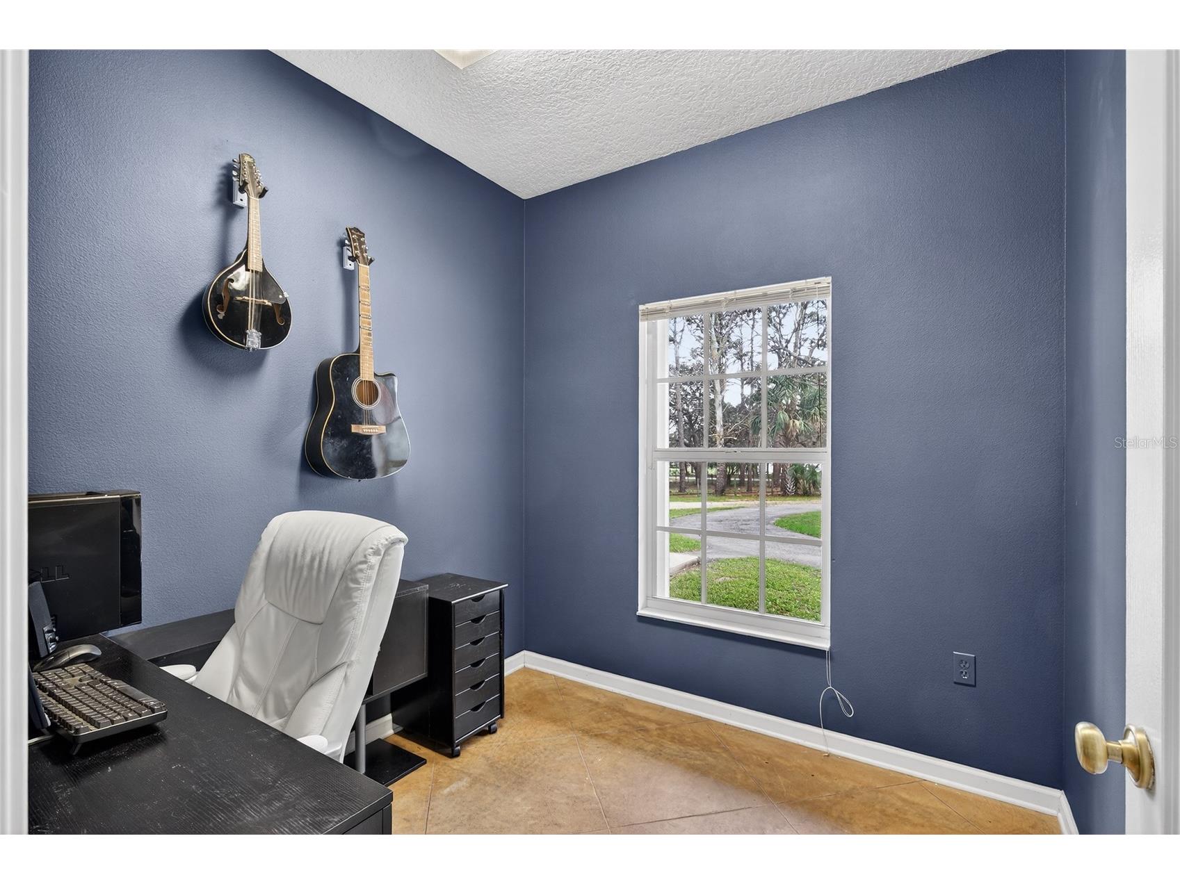 22301 Coronado Somerset Drive Sorrento FL 32776 G5109304 image24