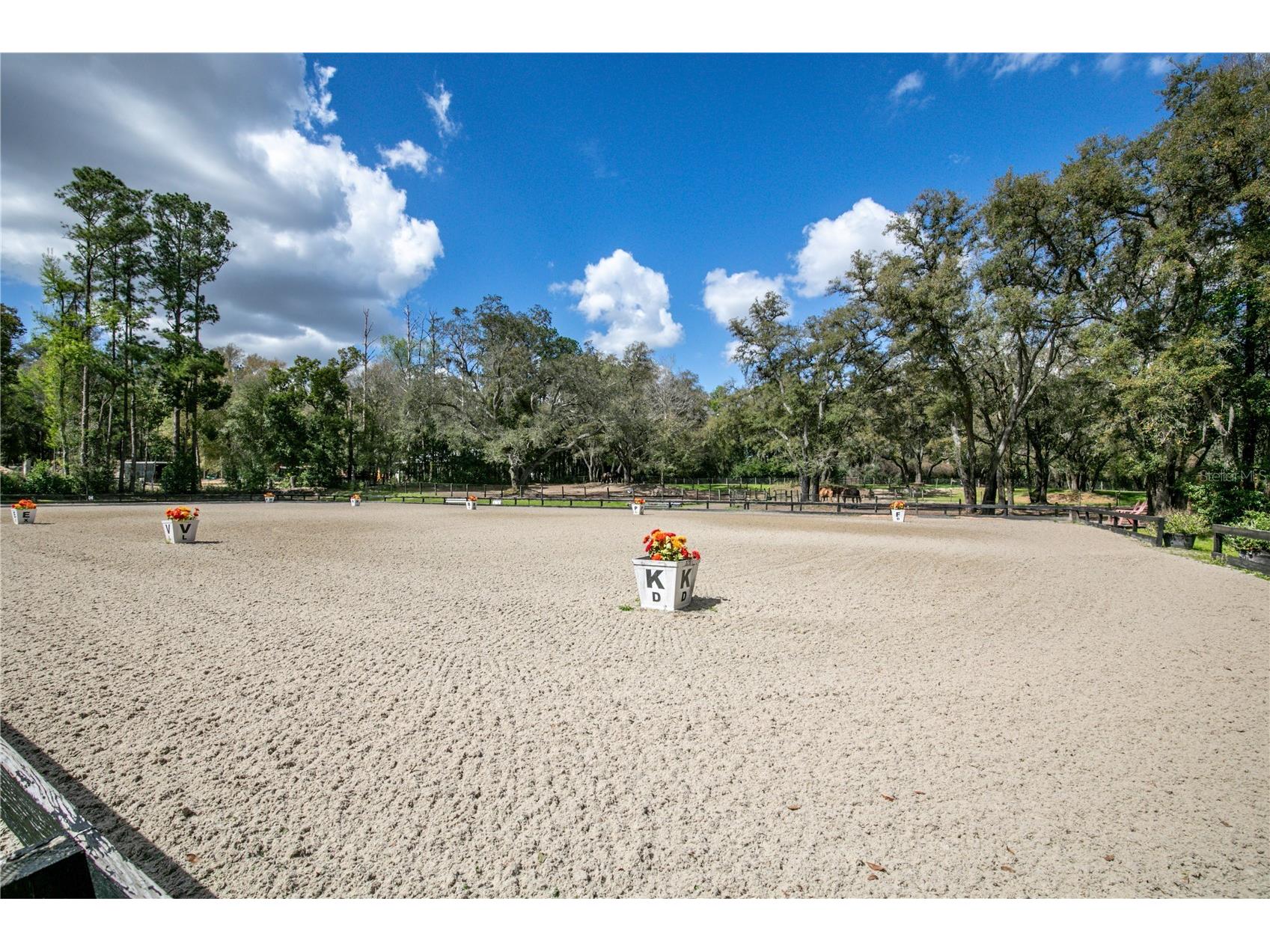 22301 Coronado Somerset Drive Sorrento FL 32776 G5109304 image58