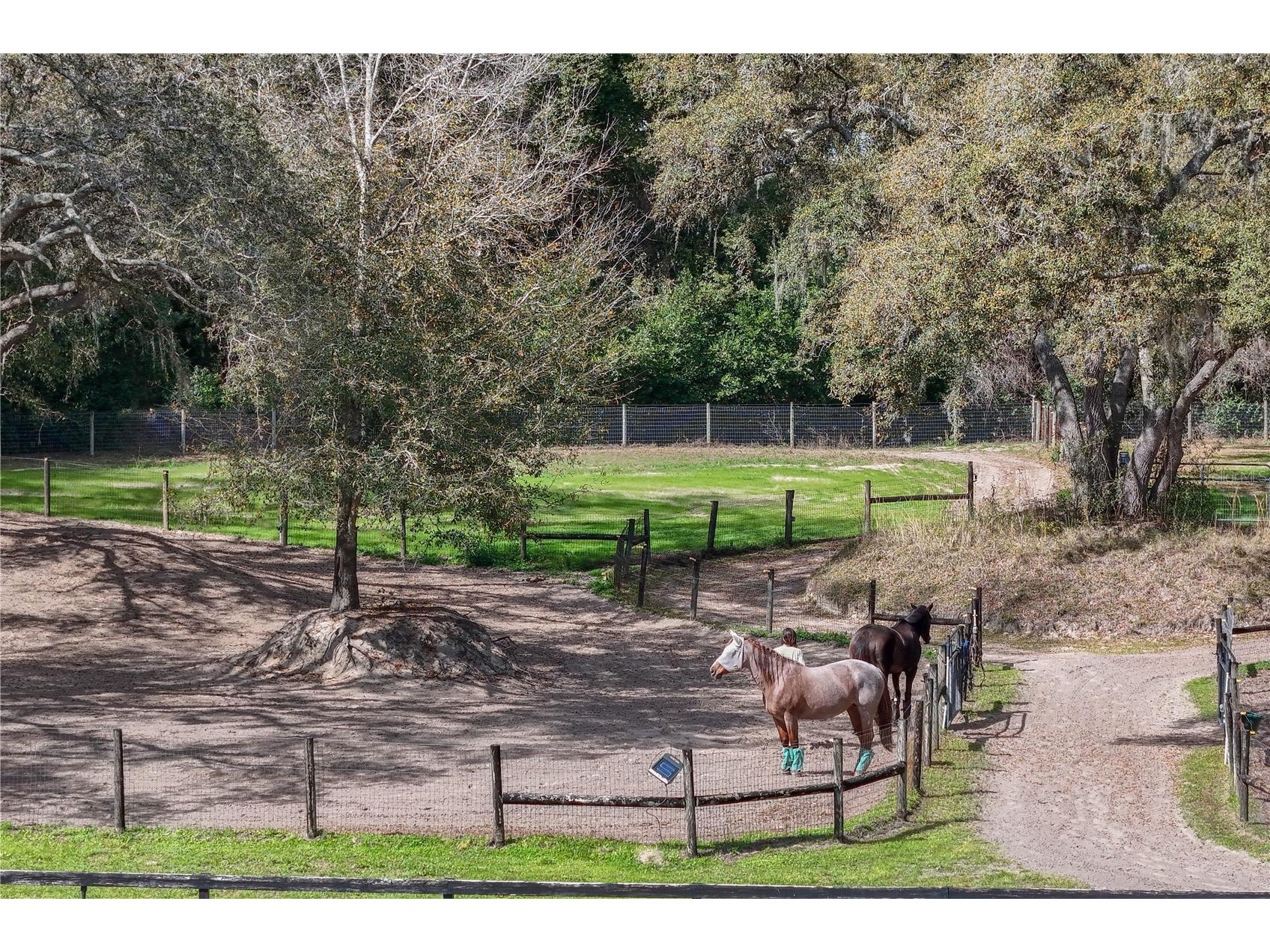 22301 Coronado Somerset Drive Sorrento FL 32776 G5109304 image66
