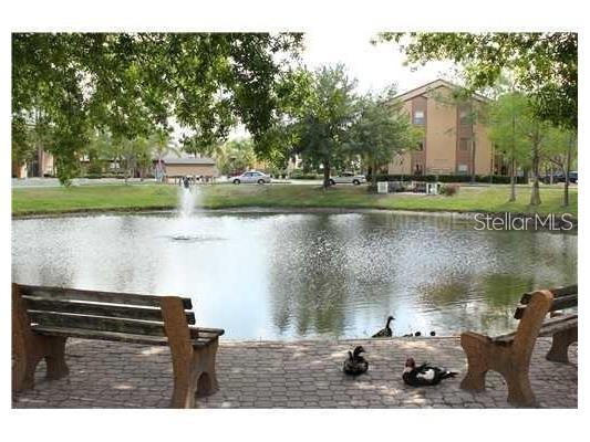 2231 Cascades Boulevard #204 Kissimmee FL 34741 S5150131 image12