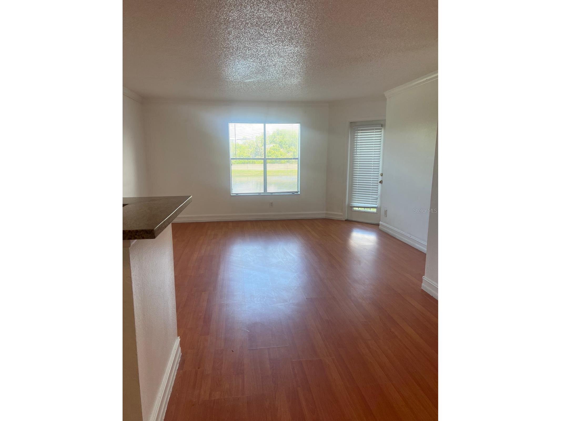 2231 Cascades Boulevard #204 Kissimmee FL 34741 S5150131 image4
