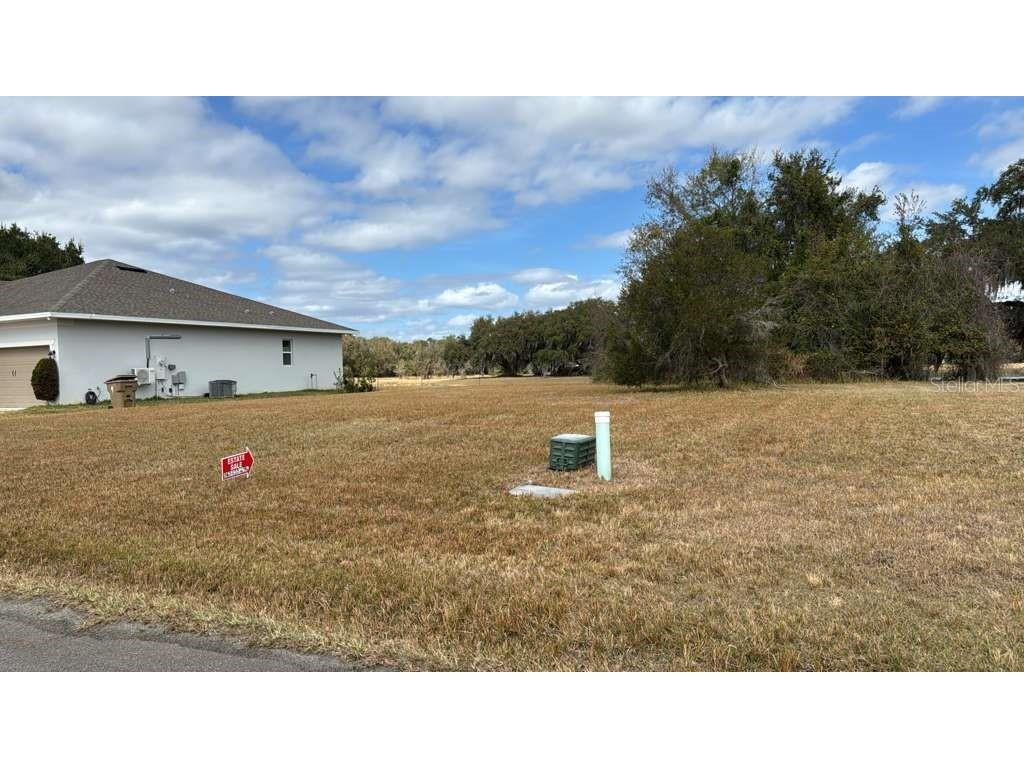 2231 Marshfield Preserve Way Kissimmee FL 34746 O6384307 image2