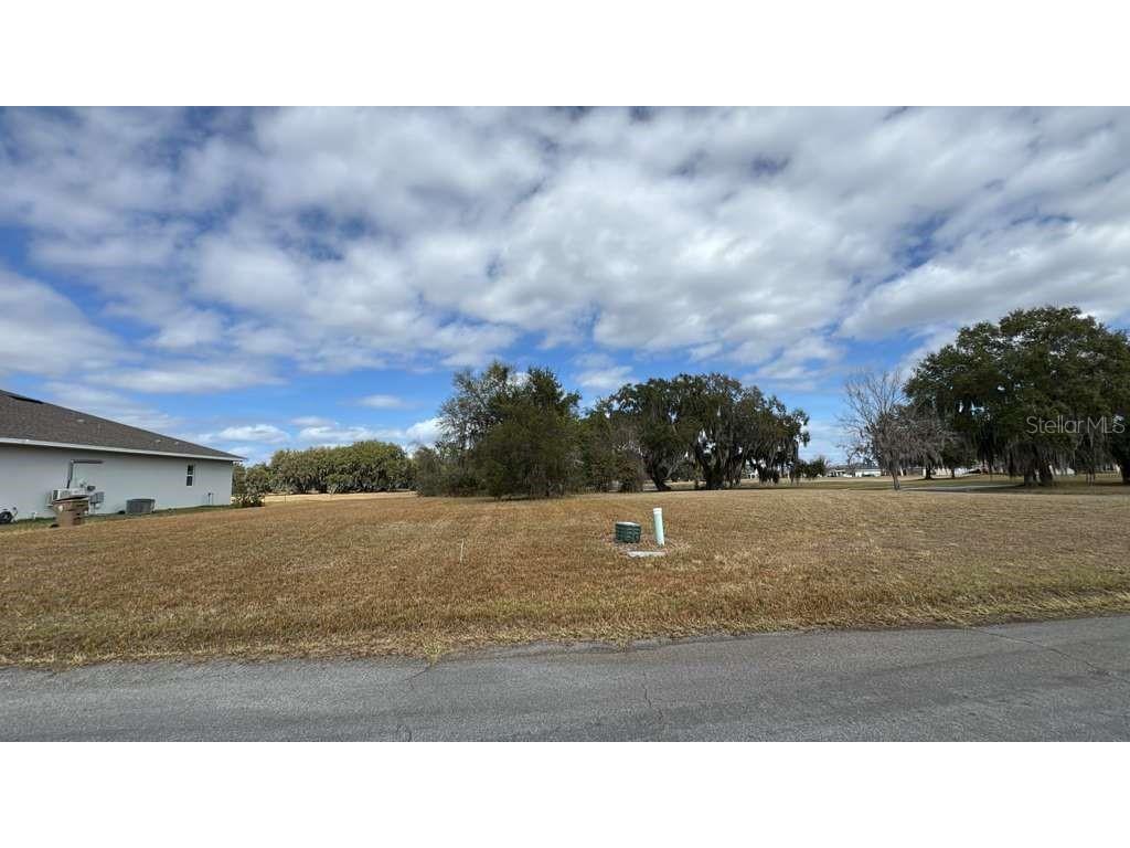 2231 Marshfield Preserve Way Kissimmee FL 34746 O6384307 image3