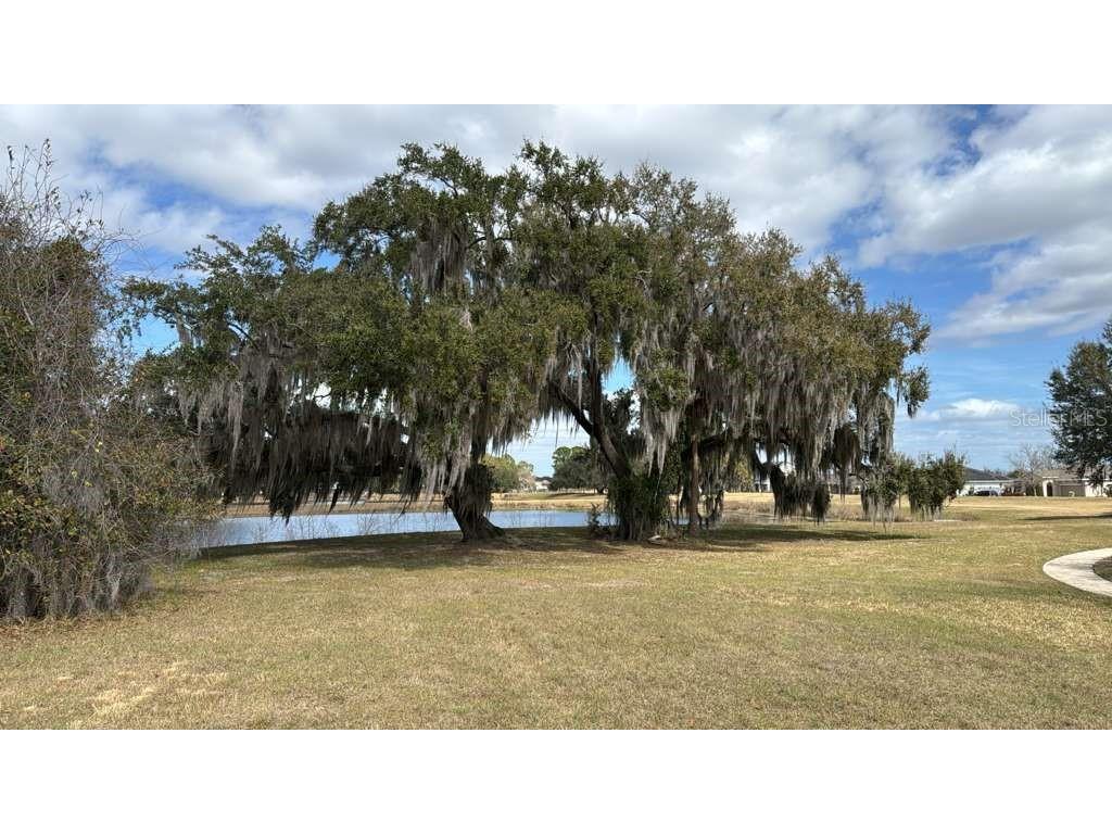 2231 Marshfield Preserve Way Kissimmee FL 34746 O6384307 image4