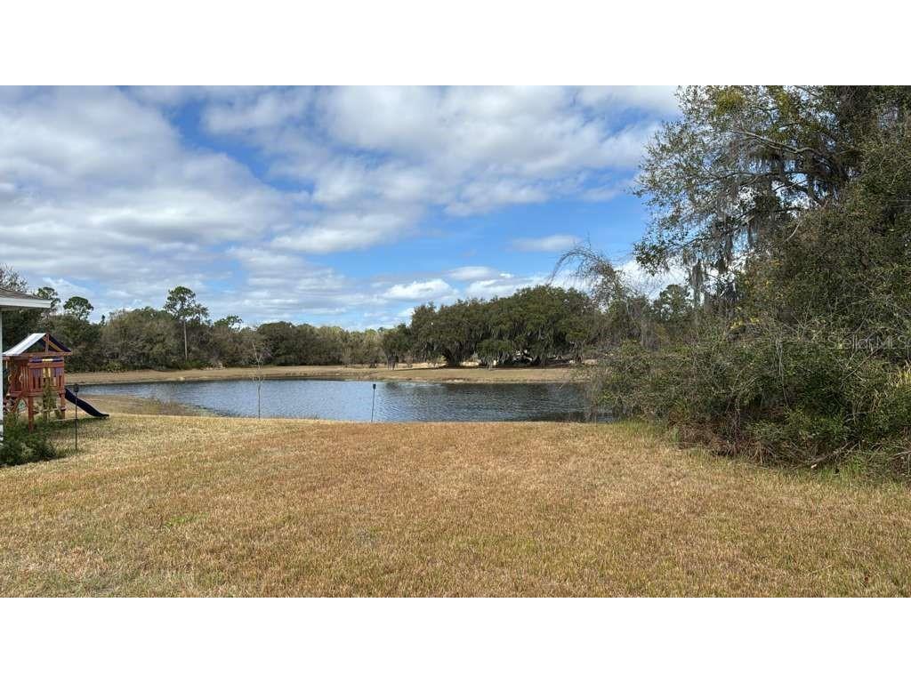 2231 Marshfield Preserve Way Kissimmee FL 34746 O6384307 image8
