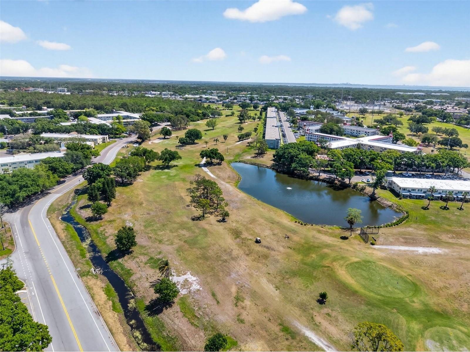 2231 Utopian Drive E #219 Clearwater FL 33763 TB8493294 image31