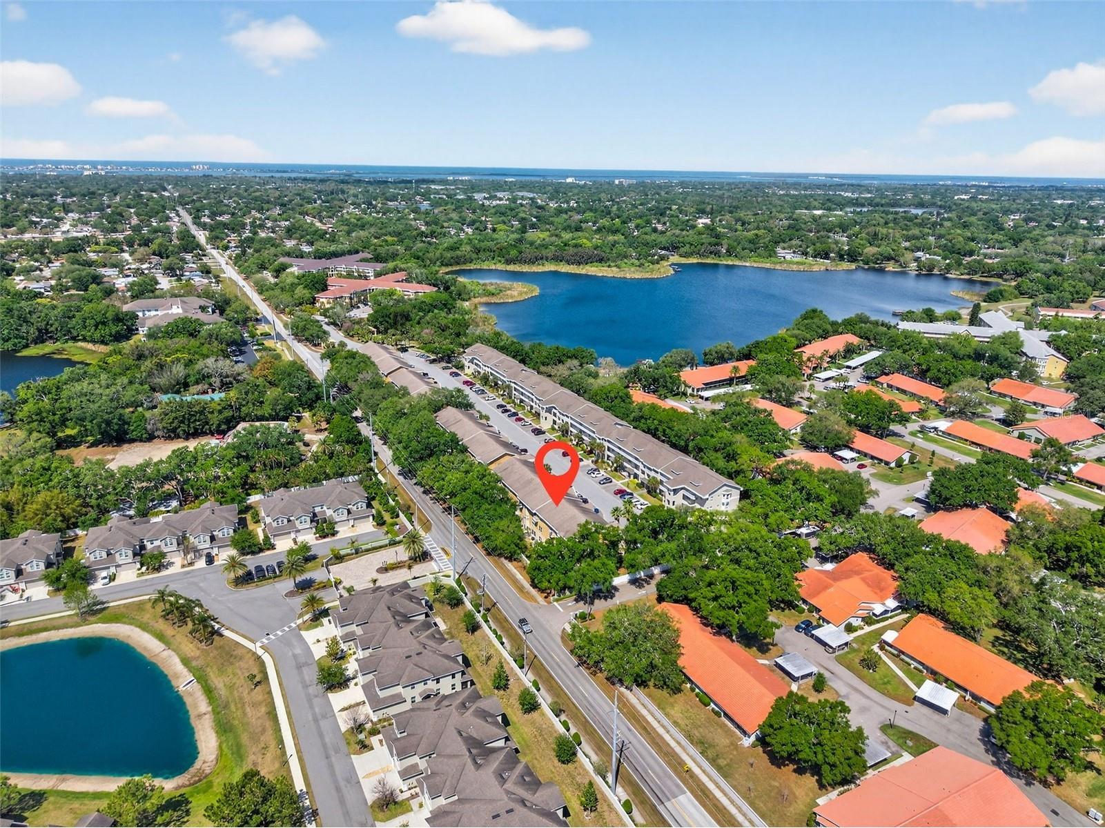 2231 Utopian Drive E #219 Clearwater FL 33763 TB8493294 image34