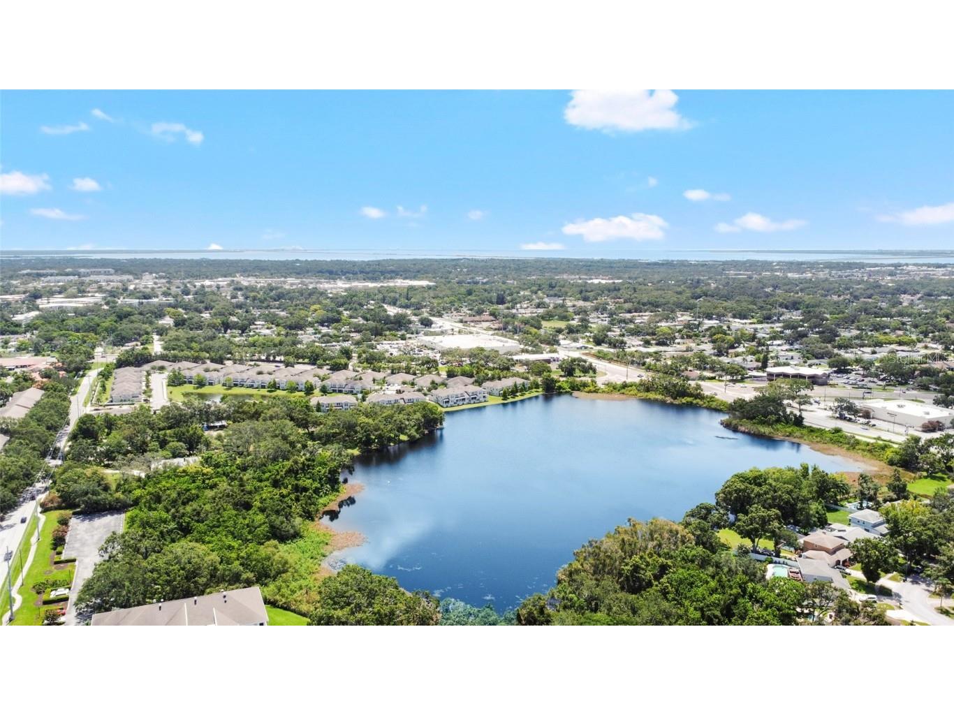 2231 Utopian Drive E #307 Clearwater FL 33763 TB8404040 image28