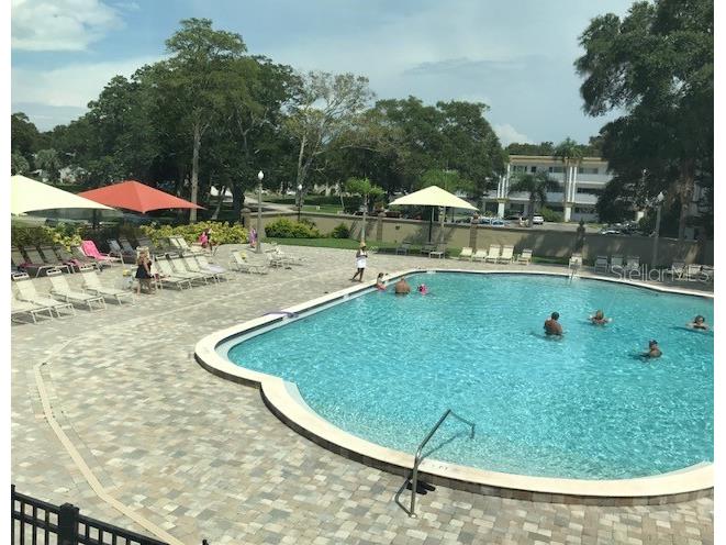 2231 Utopian Drive E #307 Clearwater FL 33763 TB8404040 image38