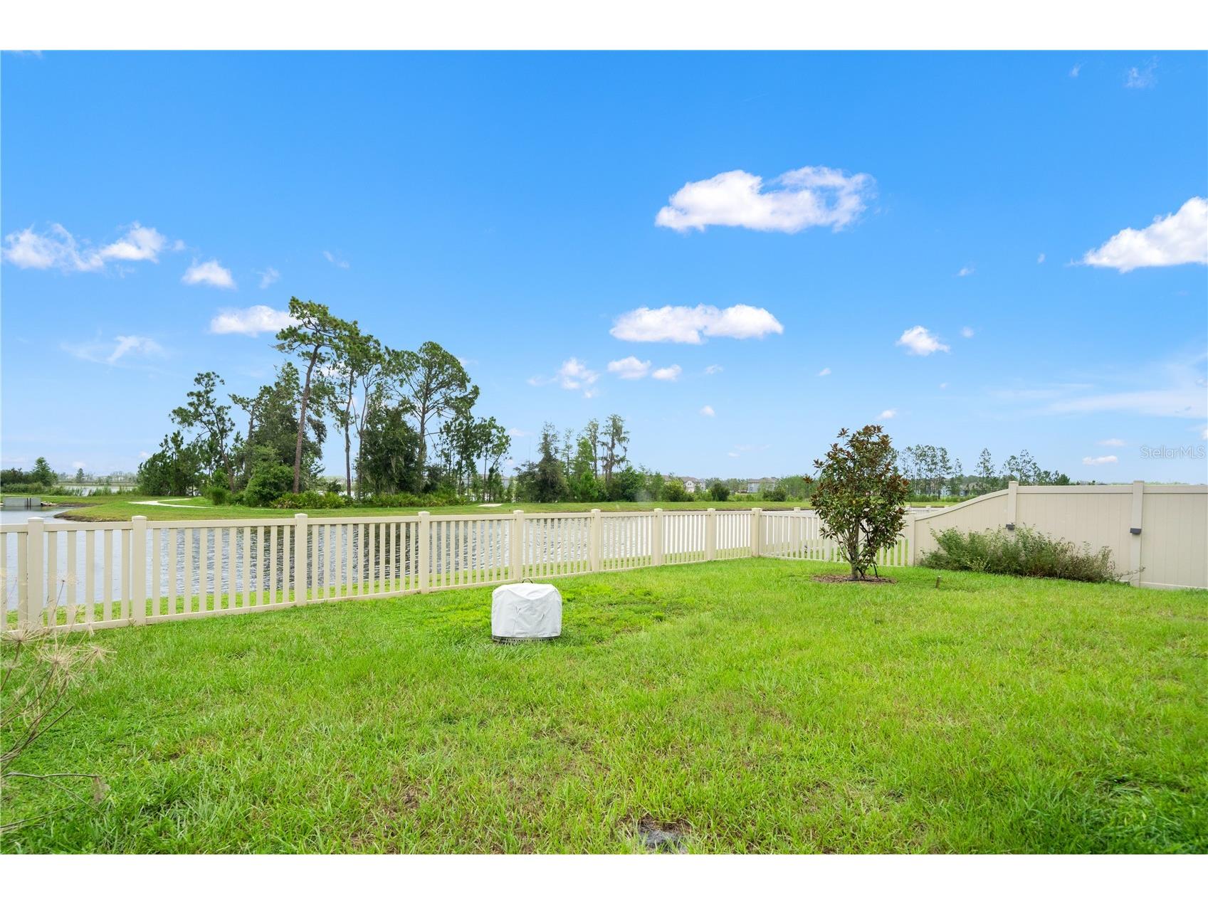 22313 Pleasant Morning Drive Land O Lakes FL 34637 TB8530396 image46