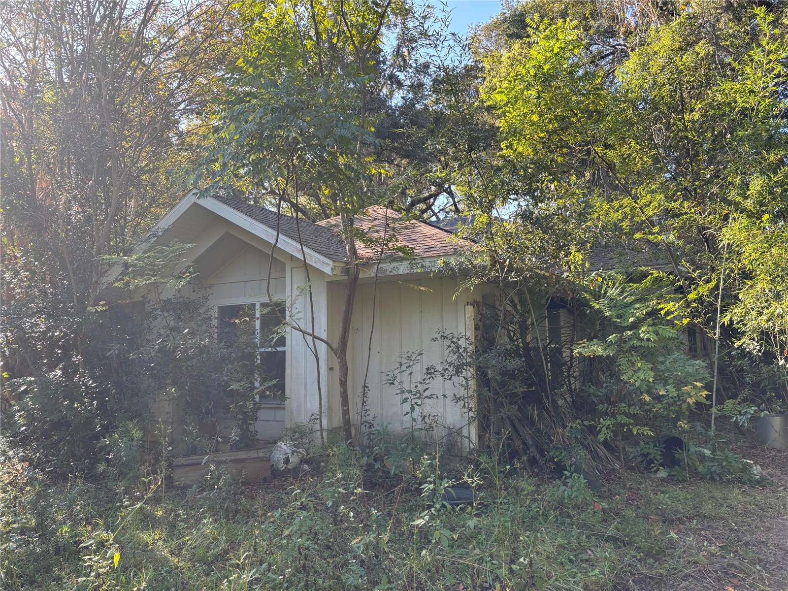 22316 SW 15th Avenue Newberry FL 32669 O6356118 image1