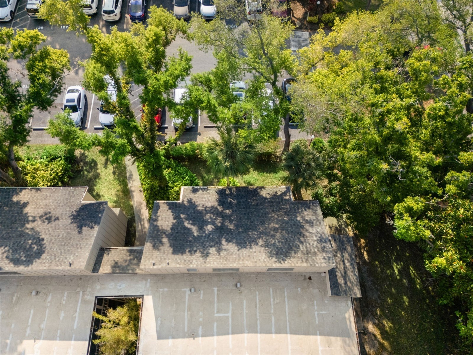 2232 Bahia Vista Street #A1 Sarasota FL 34239 TB8491201 image50