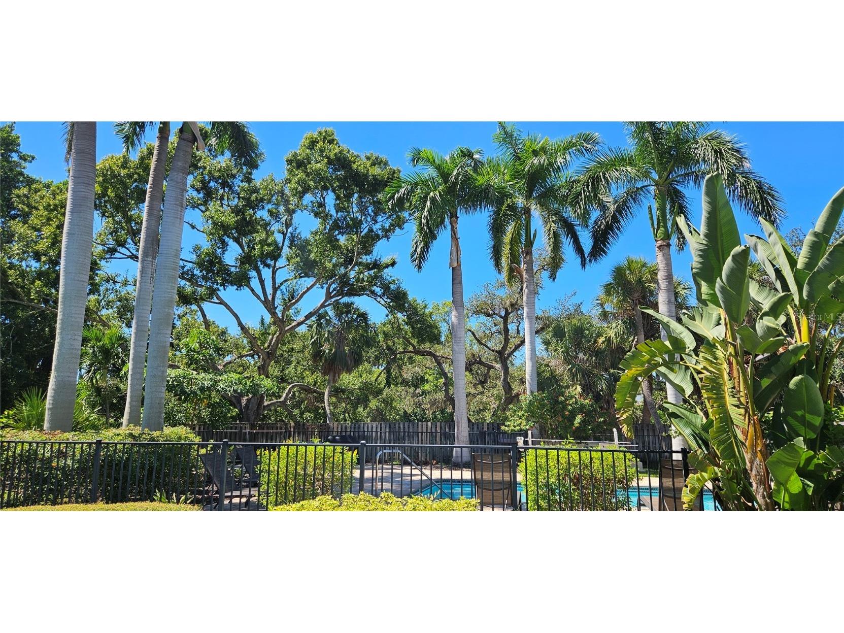 2232 Bahia Vista Street #A6 Sarasota FL 34239 A4666617 image34