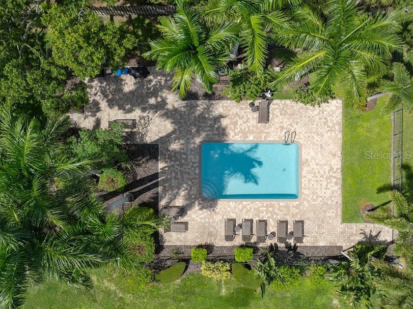 2232 Bahia Vista Street #A6 Sarasota FL 34239 A4666617 image36