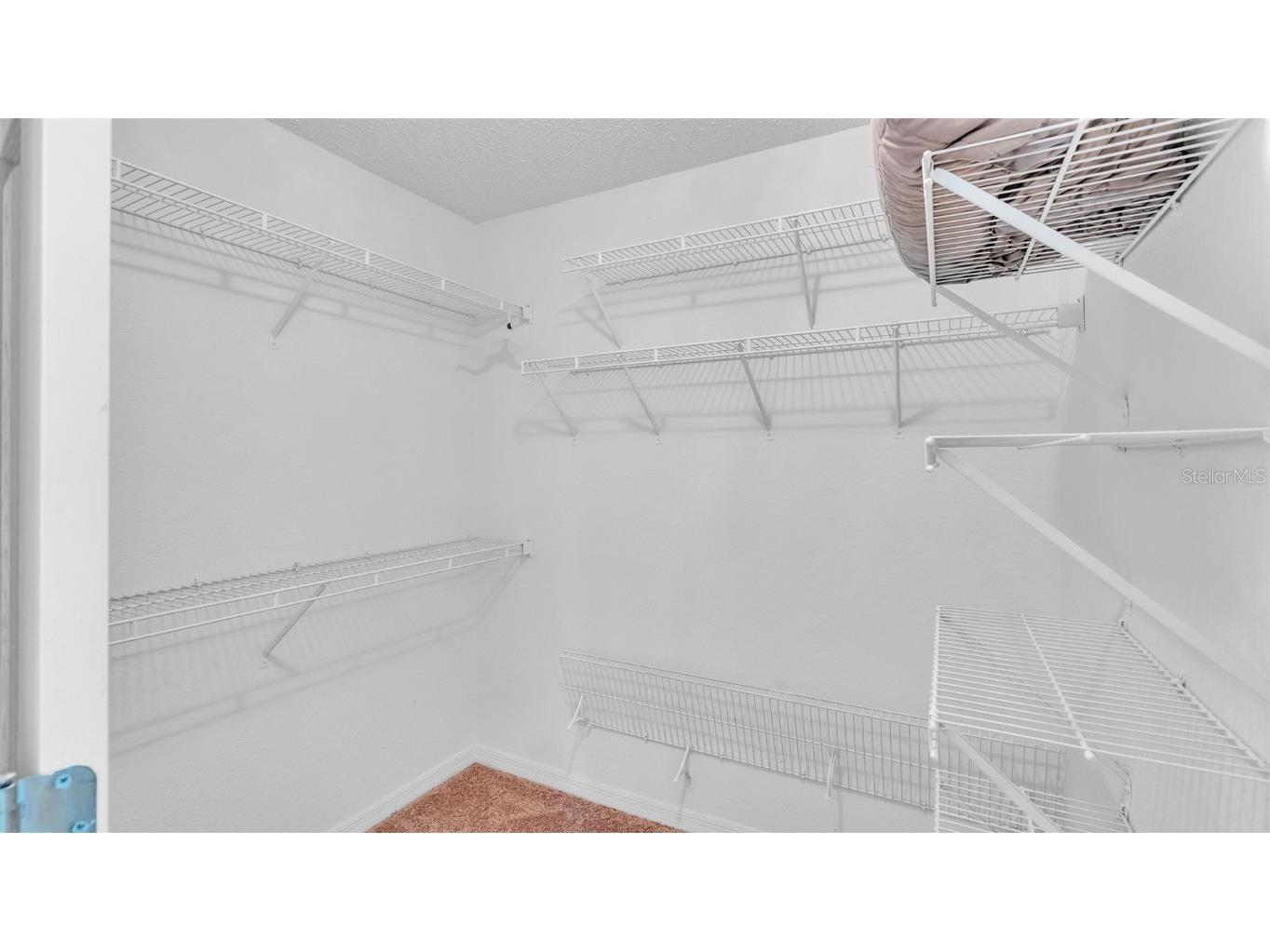 2232 Palmview Circle W Auburndale FL 33823 L4955586 image23